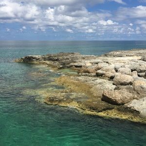 Meet your Posher, Holly