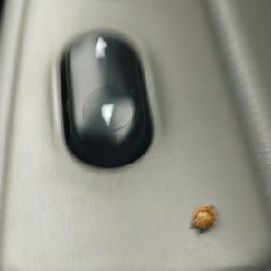 Meet your Posher, Kathryn