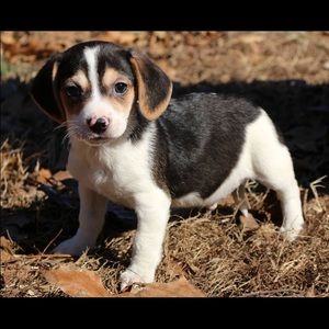 Meet your Posher, Julke