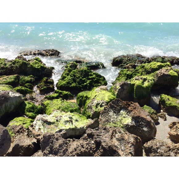 Meet your Posher, Anita - Picture 8 of 11