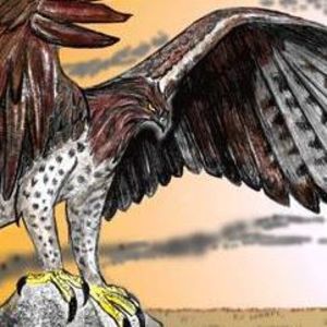 Meet your Posher, Josh