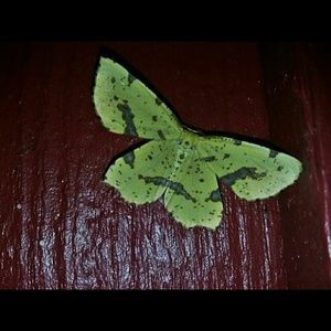 Meet your Posher, Vicki