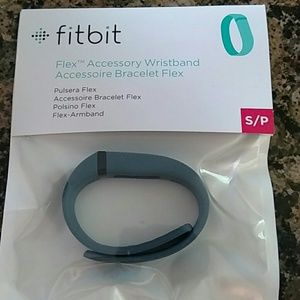 Fitbit Flex Wristband