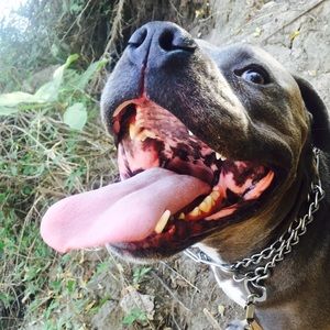 Meet your Posher, Molly