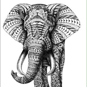 Meet your Posher, Kirra