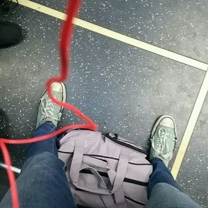 Meet your Posher, Ivy