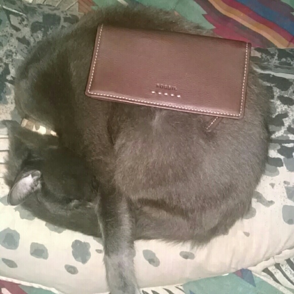 NWOT  SIMPLE FLAT WALLET