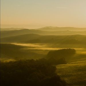 Meet your Posher, Corinne