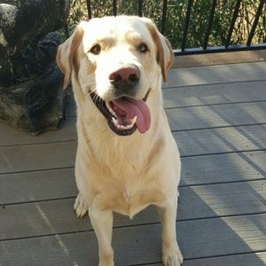 Meet your Posher, Calder