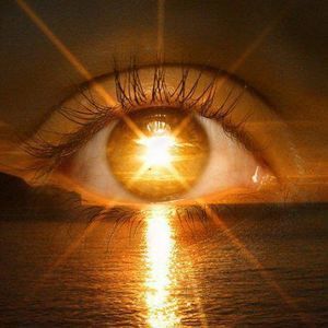 Meet your Posher, Judith