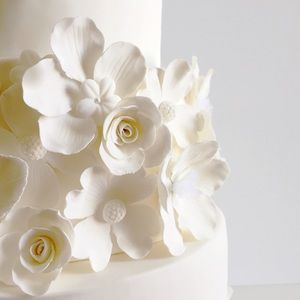 Meet your Posher, Doris