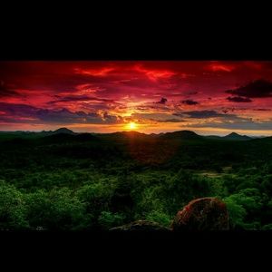 Meet your Posher, Bianca