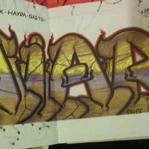 Meet your Posher, Paige