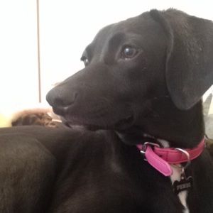 Meet your Posher, Jackie