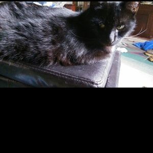 Meet your Posher, Christina