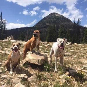 Meet your Posher, Lauren