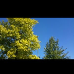 Meet your Posher, Angela m