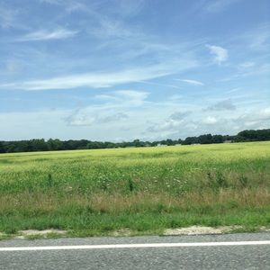 Meet your Posher, Dorothy