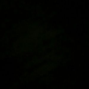 Meet your Posher, Monique