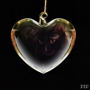 Meet your Posher, Eileen