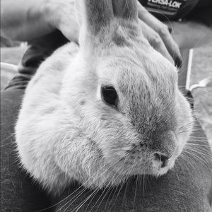 Meet your Posher, Tara