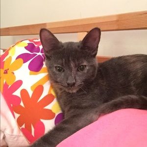 Meet your Posher, Cynthia