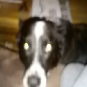 Meet your Posher, Veronica