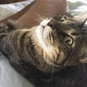 Meet your Posher, Kate