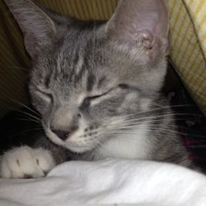 Meet your Posher, Chloe