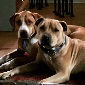 Meet your Posher, Angela