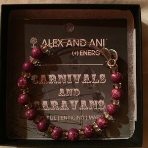 Alex& Ani bracelet