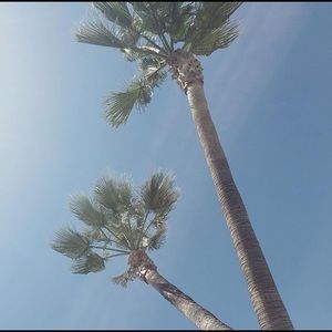 Meet your Posher, Casey