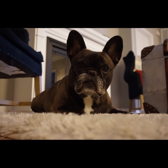 Meet Your Posher 💕 - Picture 3 of 3