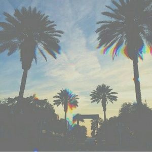 Meet your Posher, Rocio