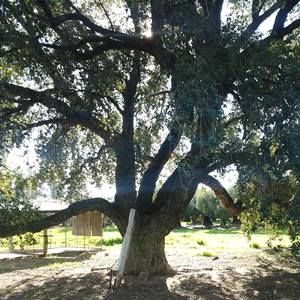 Meet your Posher, Karina