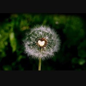 Meet your Posher, Kandice