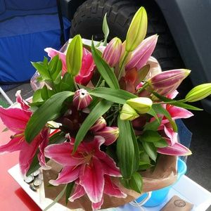 Meet your Posher, Summer