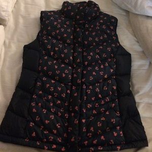 The North Face 800 fill Down Vest