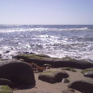 Meet your Posher, Barbara