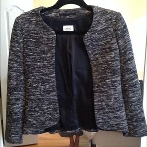 Aritzia Wilfred Blazer