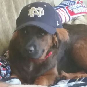 Meet your Posher, Joanna