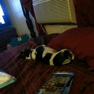 Meet your Posher, Doris