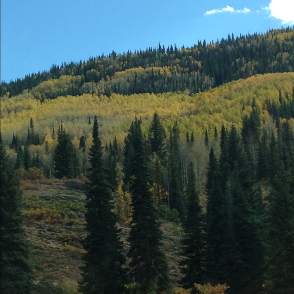 Meet your Posher, Kate - Picture 1 of 1