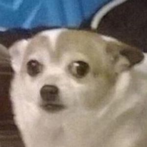 Meet your Posher, Kaley