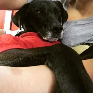 Meet your Posher, Denisse