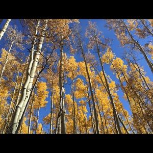 Meet your Posher, Chambers