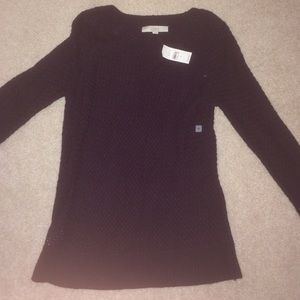Plum LOFT sweater