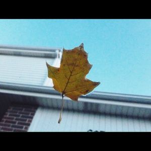 Meet your Posher, Dani