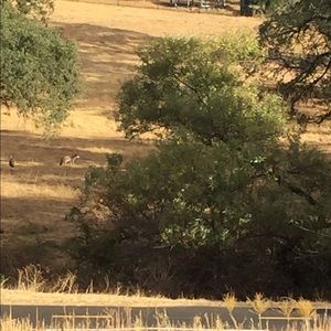 Meet your Posher, Jesse