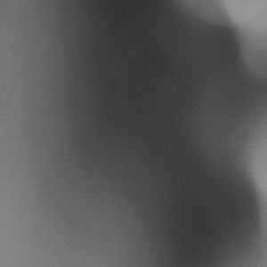 Meet your Posher, Liz